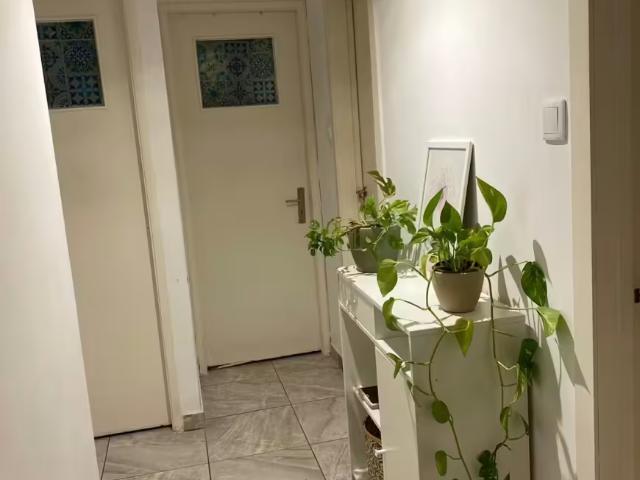 Apartamentos 2 quarto, Porto Porto 4300 191 ES100334299