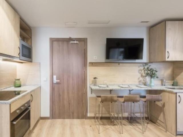 Apartamentos 338 Dormitorio Malaga Malaga ES103287540