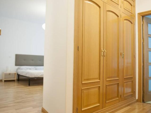 Apartamentos 4 Dormitorio Madrid Madrid ES101765787