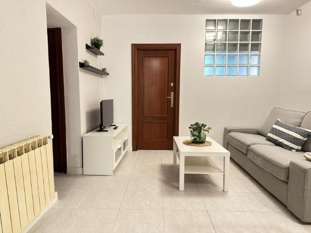 Apartamentos 4 Dormitorio Madrid Madrid ES103268936
