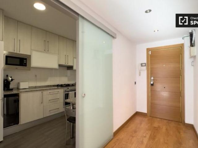 Apartamentos 4 Dormitorio Barcelona Barcelona ES101805659