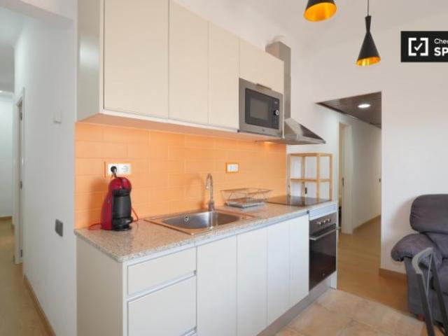 Apartamentos 4 Dormitorio Barcelona Barcelona ES104109397