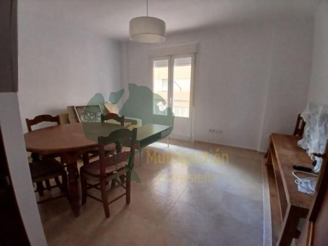 Apartamentos 4 Dormitorio Cáceres Cáceres ES102958499