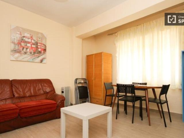 Apartamentos 4 Dormitorio Granada Granada ES101671350
