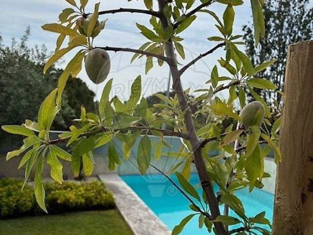 Apartamentos 4 quarto, Lisboa Lisboa DS102884458