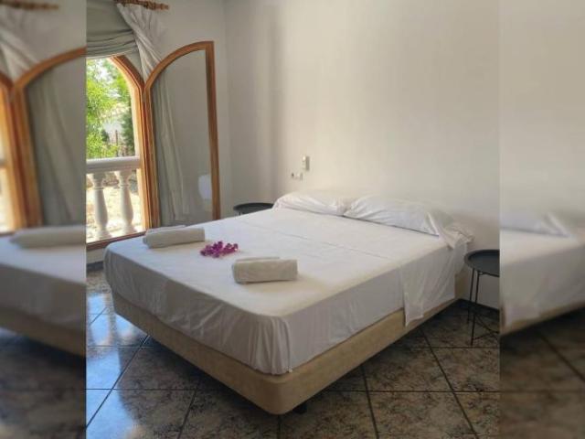 Apartamentos 5 Dormitorio Alicante Alicante ES101812025