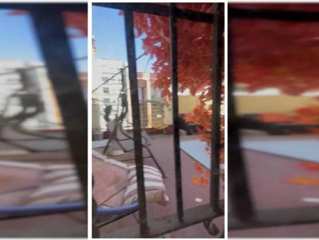 Apartamentos 5 Dormitorio Valencia Valencia ES91892450