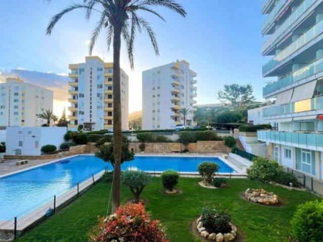 Apartamentos Calvia Baleares 101262245