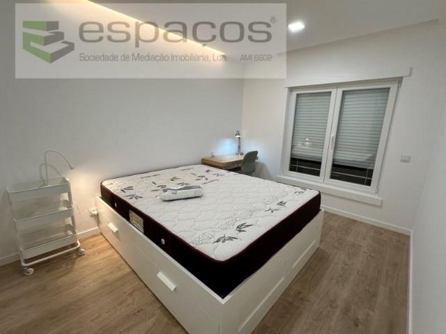 Apartamentos Castelo Branco Castelo Branco DS98717567