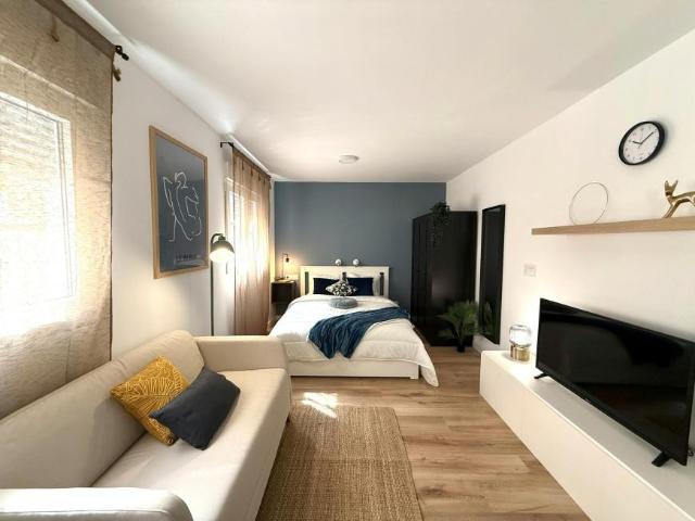Apartamentos Alicante Alicante 104783048