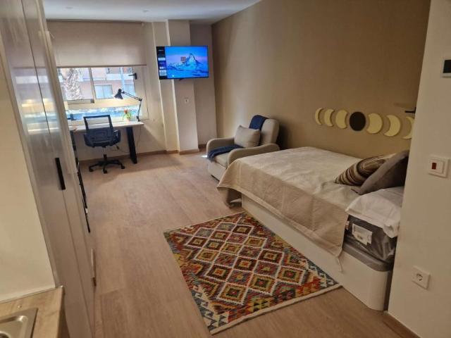 Apartamentos Alicante Alicante 101839194