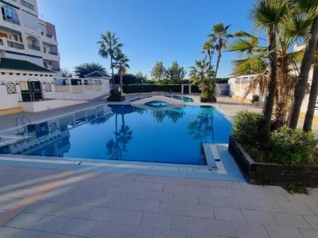 Apartamentos Alicante Alicante 102006276