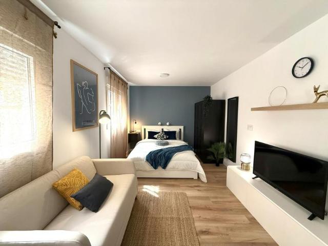 Apartamentos Alicante Alicante 103396675