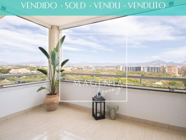 Apartamentos Alicante Alicante 98881542