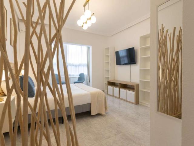 Apartamentos Alicante Alicante 99416091