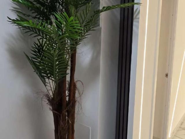 Apartamentos Alicante Alicante 99372836