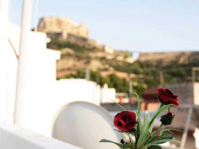 Apartamentos Alicante Alicante ELS101692581