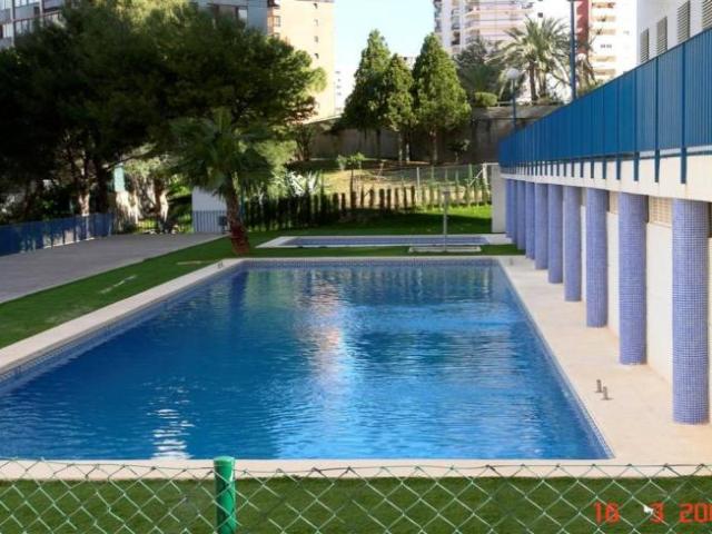 Apartamentos Alicante Alicante ELS95905488
