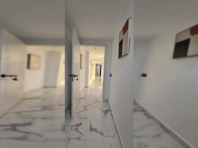 Apartamentos Alicante Alicante ELS99372836