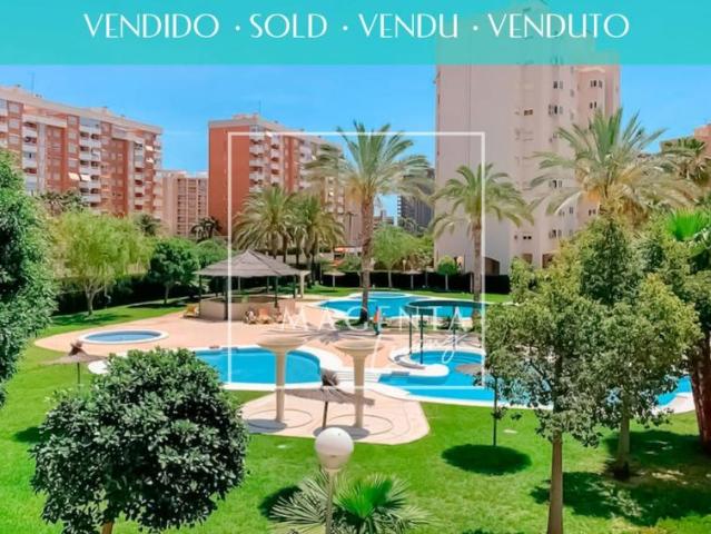 Apartamentos Alicante Alicante LS98881541