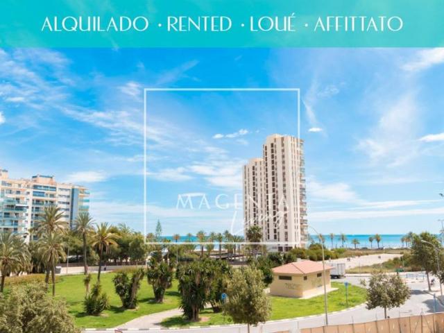 Apartamentos Alicante Alicante LS98881547