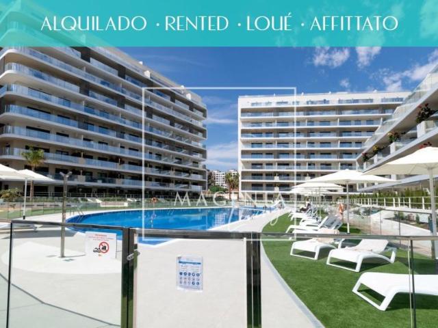 Apartamentos Alicante Alicante LS98881545