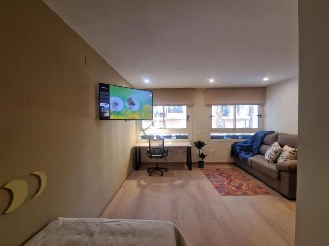 Apartamentos Alicante Alicante LS101820711
