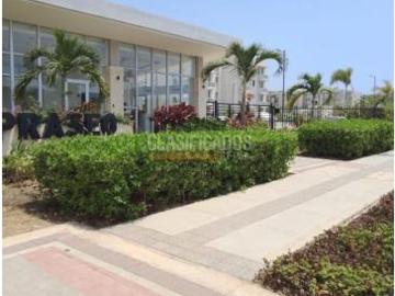 Apartamentos, Alquiler, Cartagena