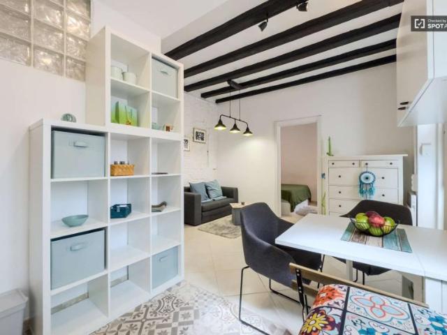 Apartamentos Barcelona Barcelona 91328928