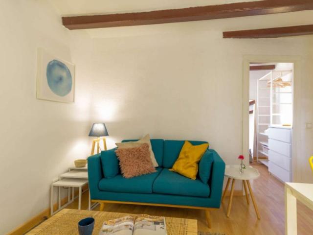 Apartamentos Barcelona Barcelona 98888691