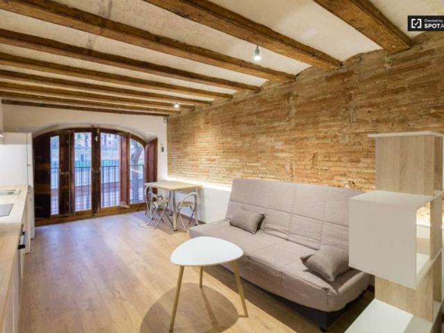 Apartamentos Barcelona Barcelona 100417286