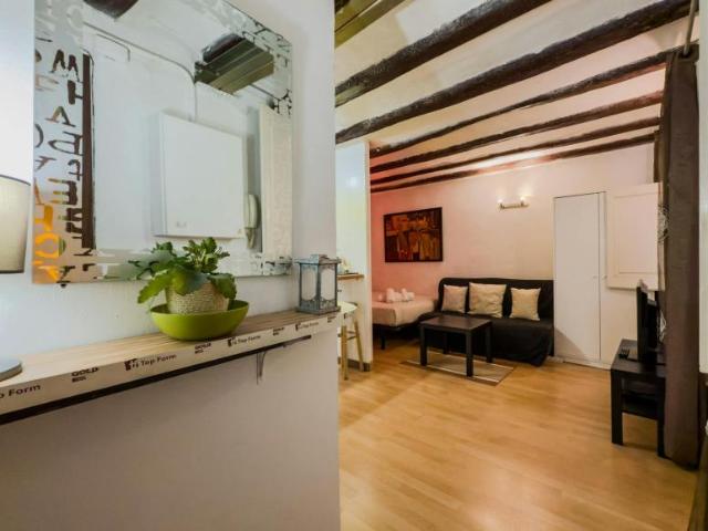 Apartamentos Barcelona Barcelona 100717338