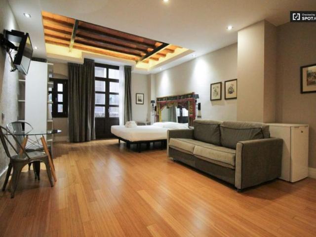 Apartamentos Barcelona Barcelona 101670865