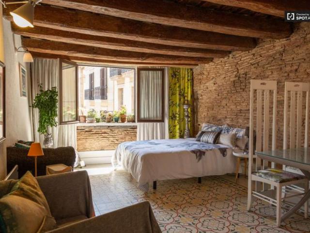 Apartamentos Barcelona Barcelona 101670989