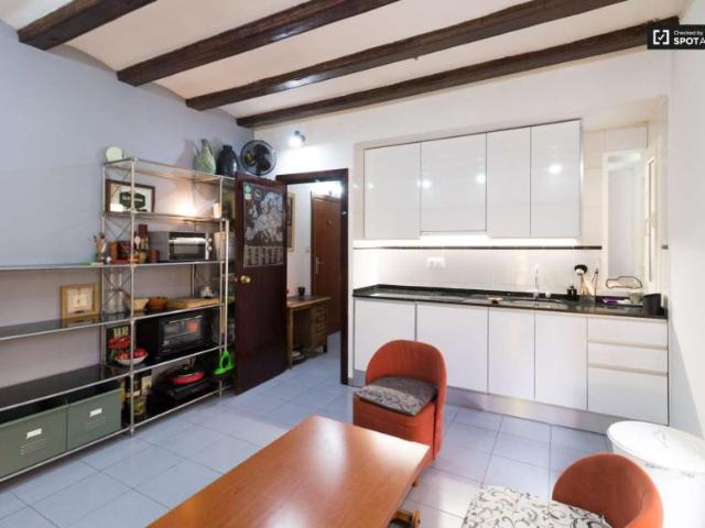 Apartamentos Barcelona Barcelona 101671678