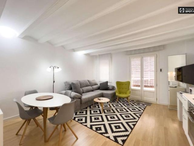 Apartamentos Barcelona Barcelona 101671904