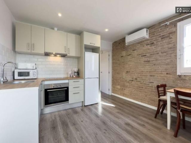 Apartamentos Barcelona Barcelona 101732631