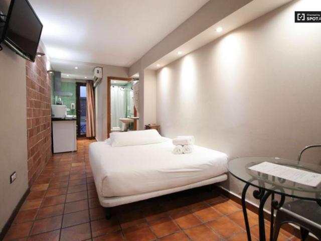 Apartamentos Barcelona Barcelona 101733760
