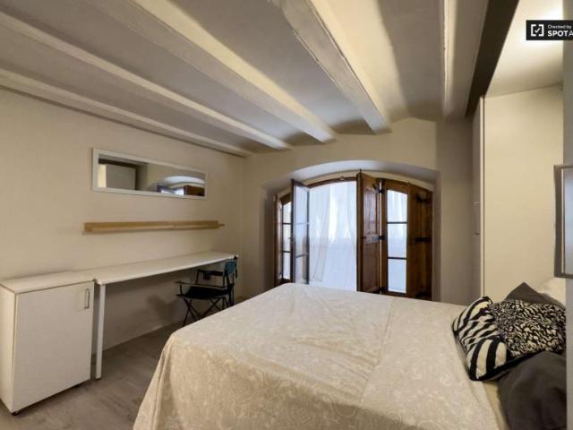 Apartamentos Barcelona Barcelona 101737492