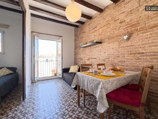 Apartamentos Barcelona Barcelona 101762120
