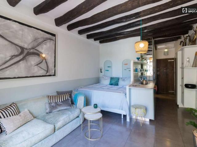 Apartamentos Barcelona Barcelona 101770829