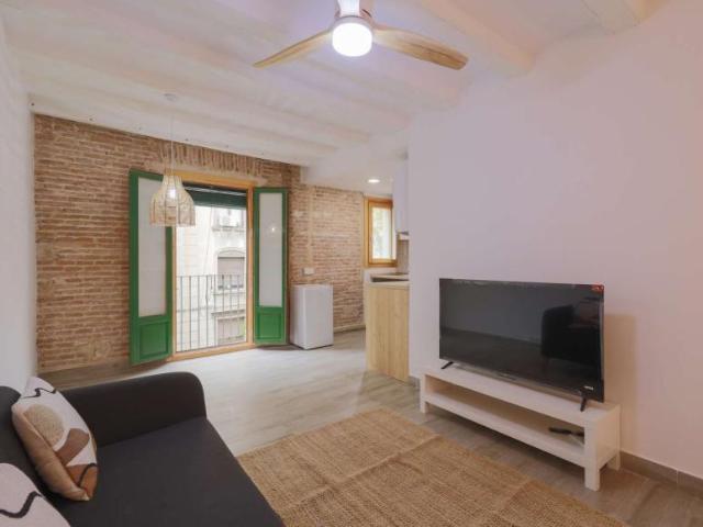 Apartamentos Barcelona Barcelona 101771768