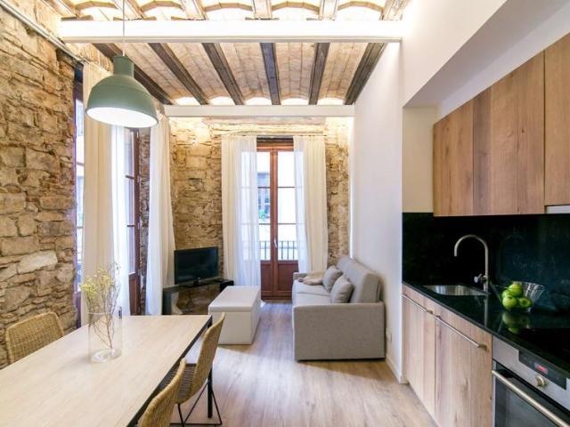 Apartamentos Barcelona Barcelona 101794226