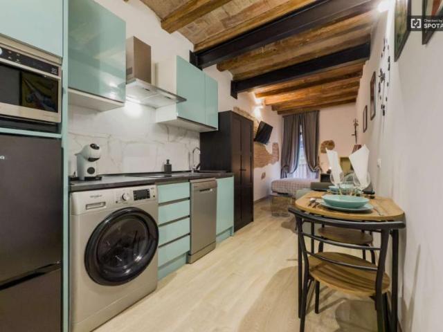 Apartamentos Barcelona Barcelona 101795187