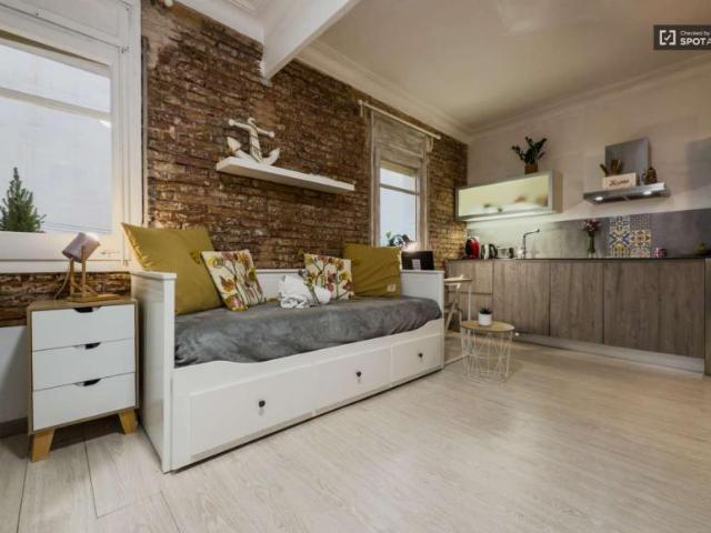 Apartamentos Barcelona Barcelona 101806582