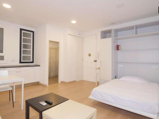 Apartamentos Barcelona Barcelona 101812087