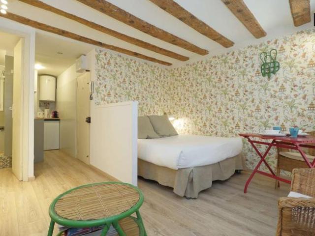 Apartamentos Barcelona Barcelona 101813822