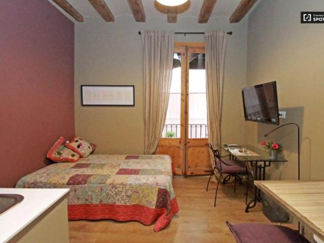 Apartamentos Barcelona Barcelona 101815574