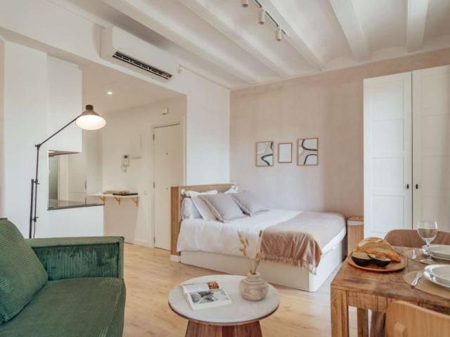 Apartamentos Barcelona Barcelona 101819209