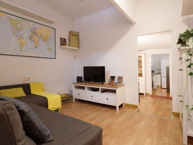 Apartamentos Barcelona Barcelona 101820763